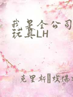 我是全公司发泄玩具LH