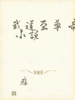 武道至尊 帝临 小说