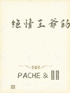 绝情王爷的丑妃