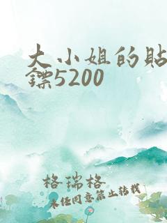 大小姐的贴身保镖5200