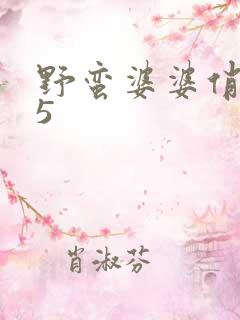 野蛮婆婆俏媳妇5