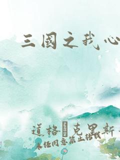 三国之我心狂想
