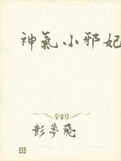 神气小邪妃