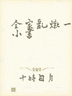 全家乱炖一锅烩小书