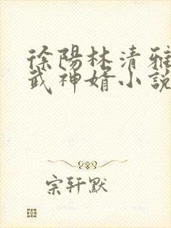 徐阳林清雅绝世武神婿小说