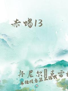 赤蝎13