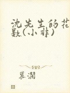 沈先生的花式调数(小非)