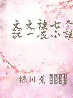 文文被七个男人玩一夜小说