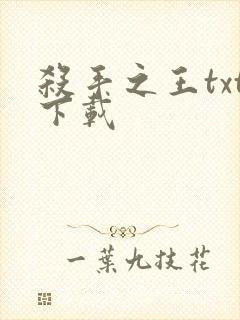 杀手之王txt下载