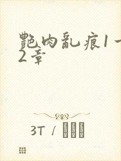 艳肉乱痕1一12章