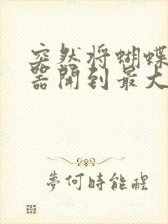 突然将蝴蝶遥控器开到最大