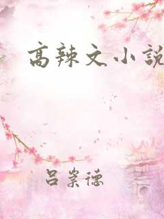 高辣文小说