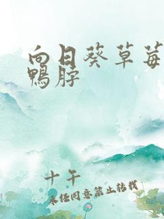 向日葵草莓丝瓜鸭脖