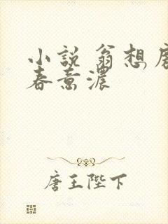 小说 翁想房中春意浓