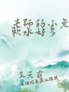 老师的小兔子好软水好多