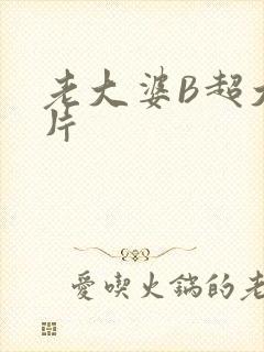 老大婆B超大图片