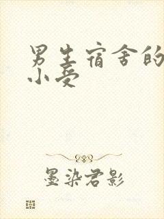 男生宿舍的公共小受