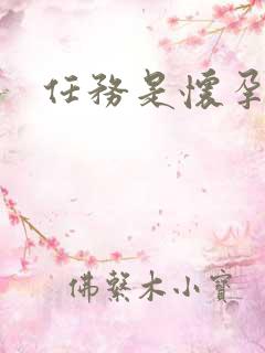 任务是怀孕系统