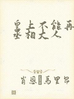 皇上不能再进了丞相大人