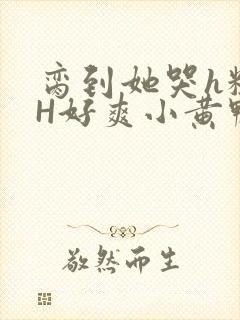 脔到她哭h粗话H好爽小黄鸭视频