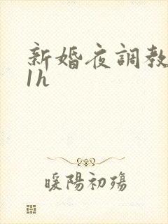 新婚夜调教1v1h