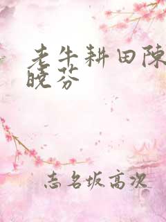 老牛耕田陈雪杨晓芬