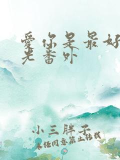 爱你是最好的时光番外