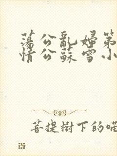 荡公乱妇第1章情公苏雪小说