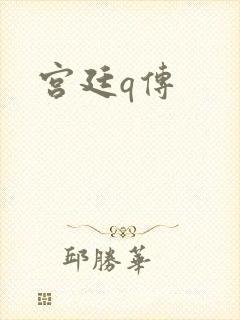 宫廷q传