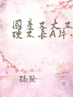 国产又大又粗又硬又长A片小说