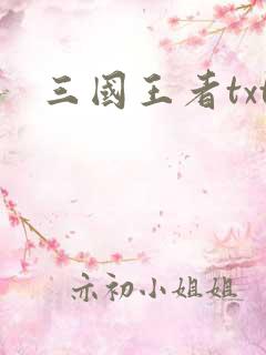 三国王者txt