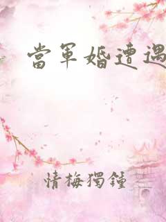 当军婚遭遇爱情