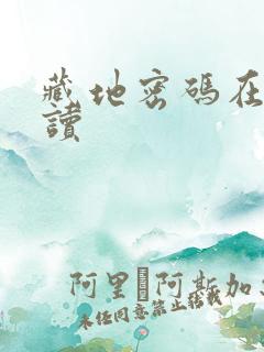 藏地密码在线阅读