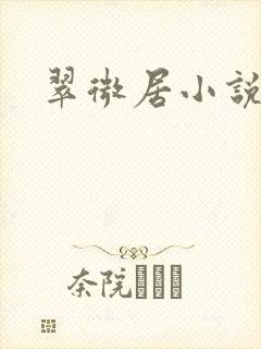 翠微居小说