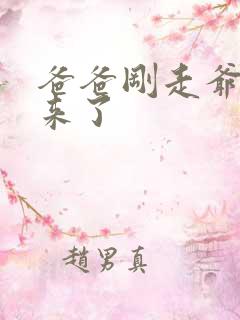 爸爸刚走爷爷就来了