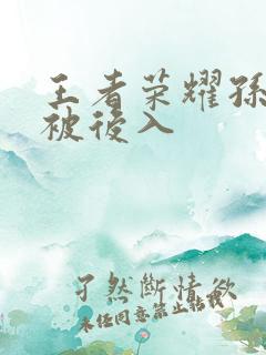 王者荣耀孙尚香被后入