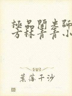 极品开光师李南方林青青小说叫