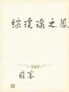 综琼瑶之凤鸾