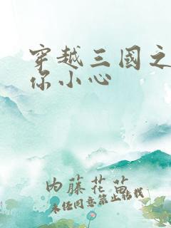 穿越三国之孔明你小心