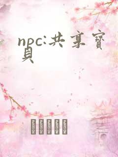 npc:共享宝贝