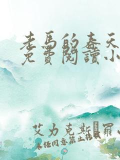 老马的春天全文免费阅读小说