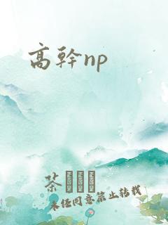高干np