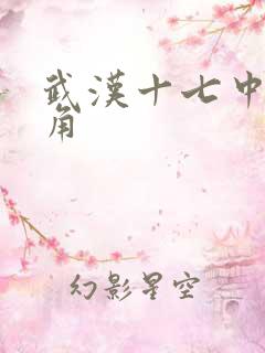 武汉十七中女主角