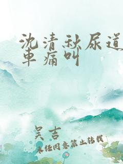 沈清秋尿道扩张车痛叫