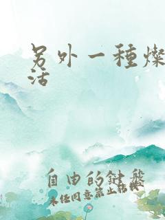 另外一种灿烂生活