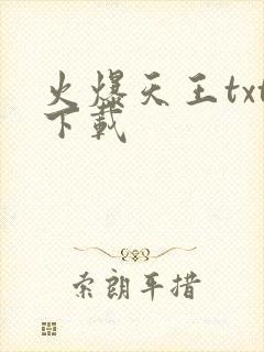 火爆天王txt下载