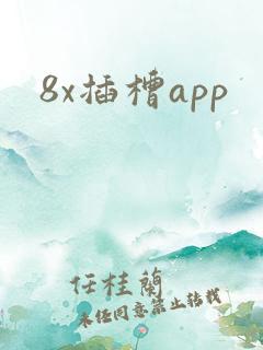 8x插槽app