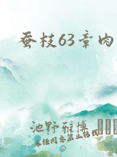 蚕枝63章肉