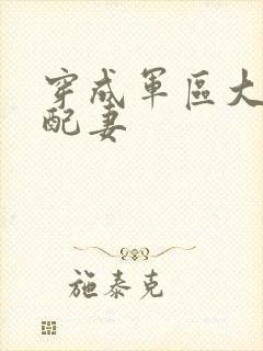 穿成军区大佬女配妻