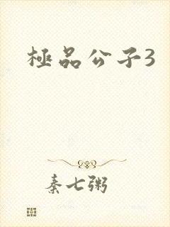 极品公子3